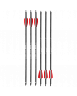 Pfeile für EK Archery R-Serie ,,Siege'', 15,5 Zoll, 6er Pack