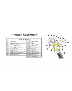 Rap4 468 PISTOL GRIP SCREW